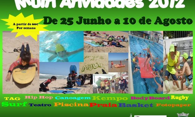 Multi Atividades 2012