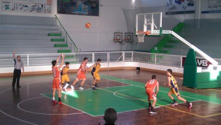 basquetebol-pimpoes-2